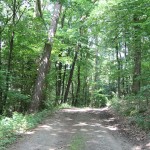De weg naar Pfaffenseifen door het bos